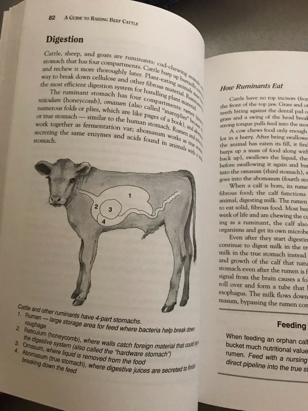 N/A storey’s guide